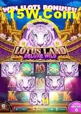 Recursos de Bônus 53H